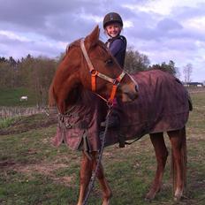 Anden særlig race Pepsi