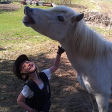 Anden særlig race Herkules