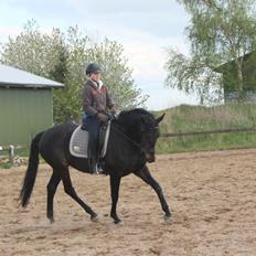 Oldenborg Kirsebærsgården Cayenne