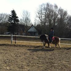 Anden særlig race Valde af ebbedal m