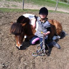 Anden særlig race Valde af ebbedal m