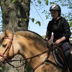 Anden særlig race Kontra