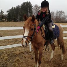 DSP Horsmarks Diva Duchess (SOLGT)