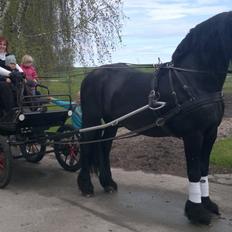 Frieser Abel [Himmelhest]