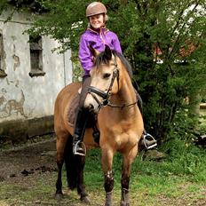 Anden særlig race Assenhøj's Bellezza