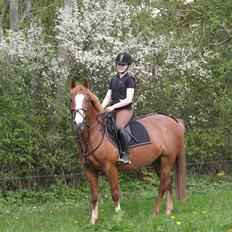 DSP Fæbrogård's SIF! *Komunemester 2014*