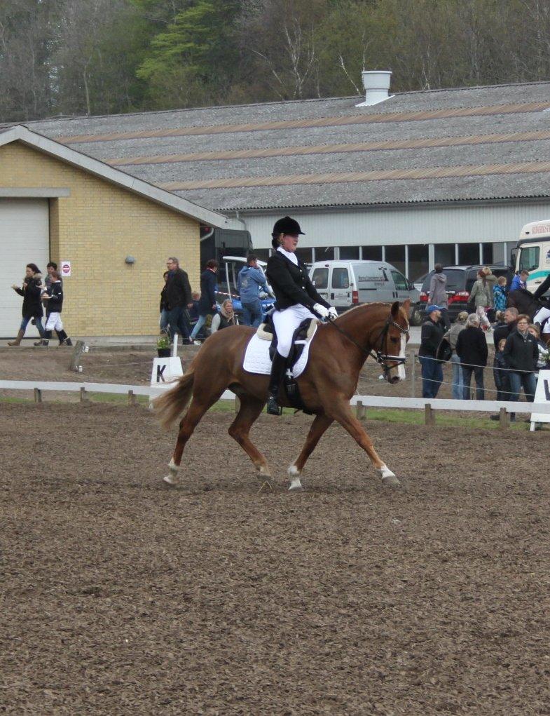 DSP Foxtrot billede 7