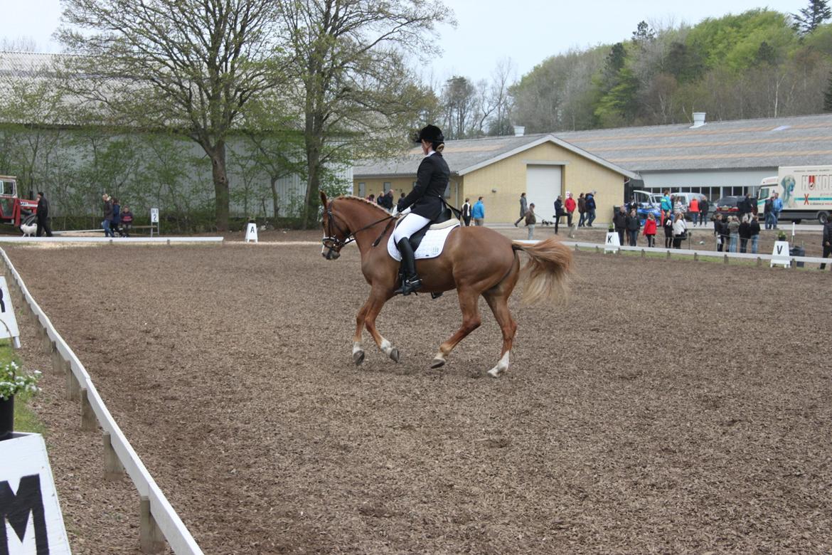 DSP Foxtrot billede 12