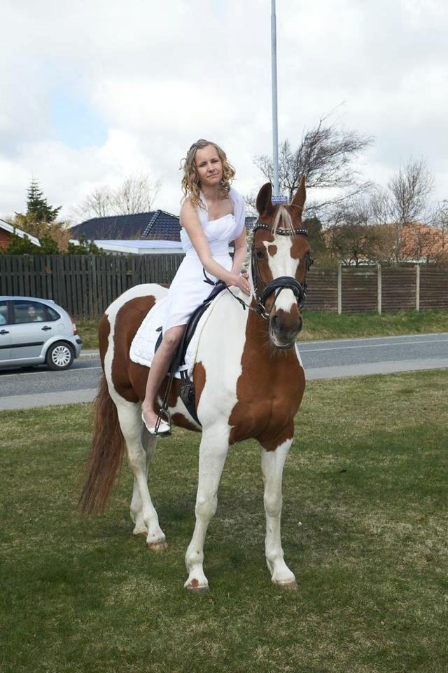 Pinto Dominique - „My love's like a star, You can't always see me, But you know that I'm always there, When you see one shining, Take it as mine and remember I'm always near.! billede 14