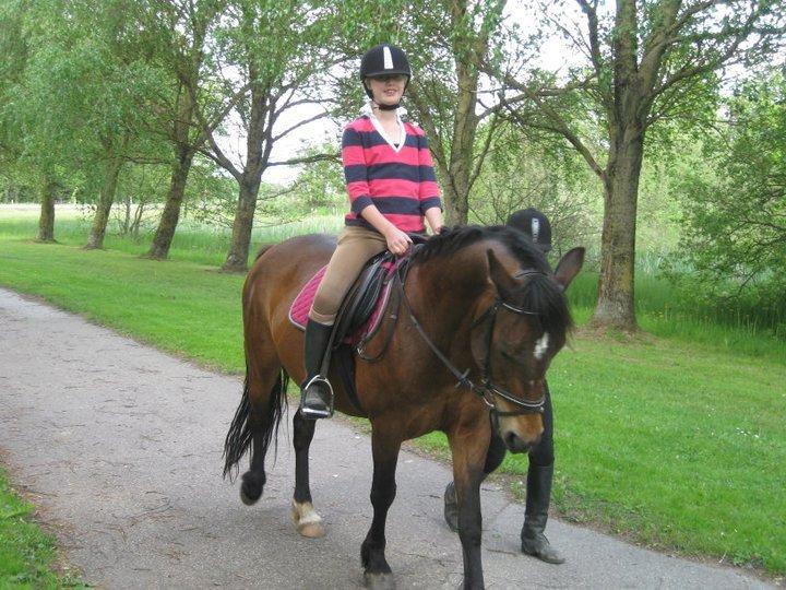 Anden særlig race Flicka  billede 7