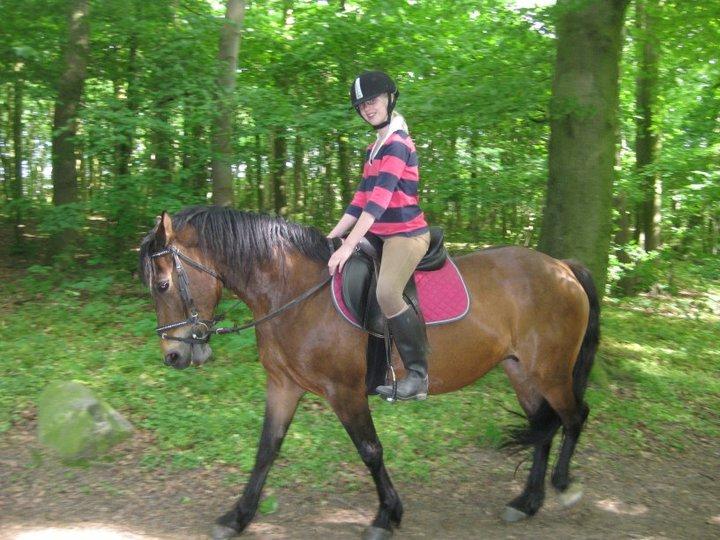 Anden særlig race Flicka  billede 8