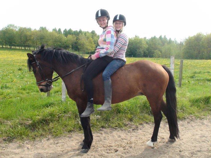 Anden særlig race Flicka  billede 9