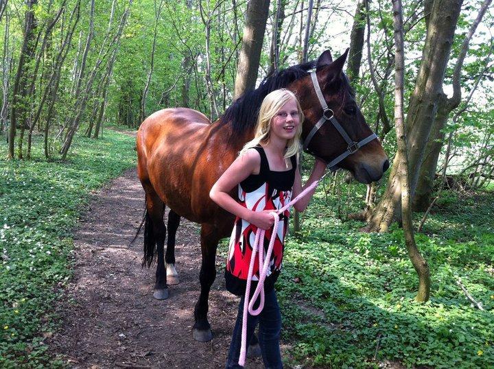 Anden særlig race Flicka  billede 11