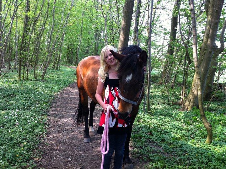 Anden særlig race Flicka  billede 2