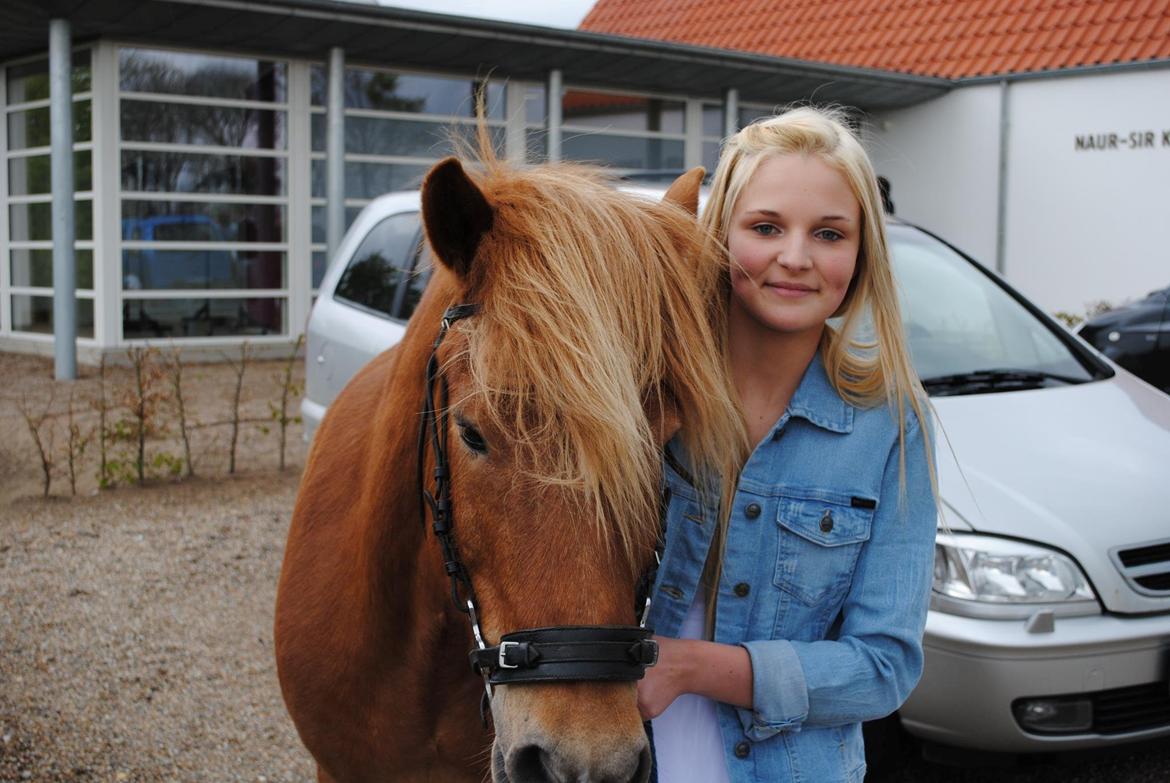 Islænder Bjarmi fra Tothat - Konfirmation 12-05 2013! En uforglemmelig dag, hvor Bjarmi kom til kirken og jeg brød sammen af glæde :') billede 1