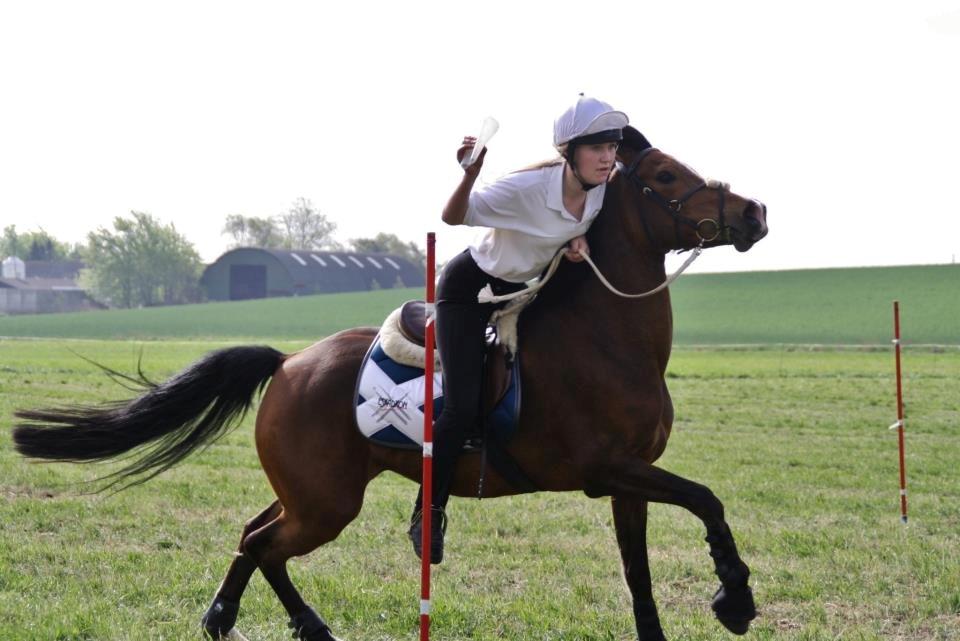 Anden særlig race Shah Little Miss May billede 15