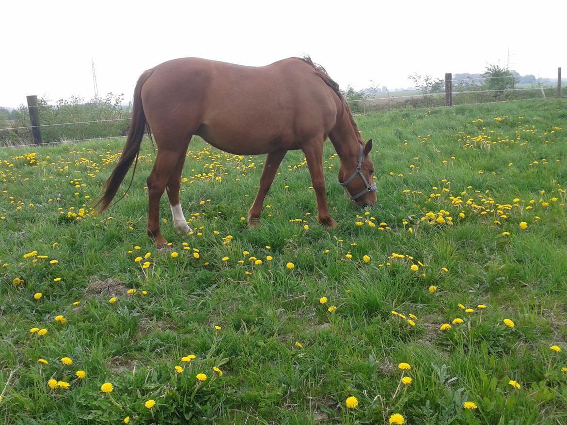 Traver Kind of magic billede 6