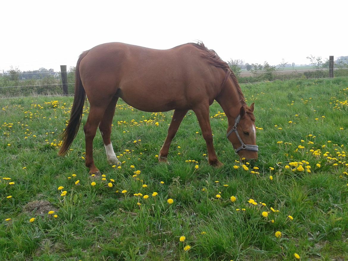 Traver Kind of magic billede 4