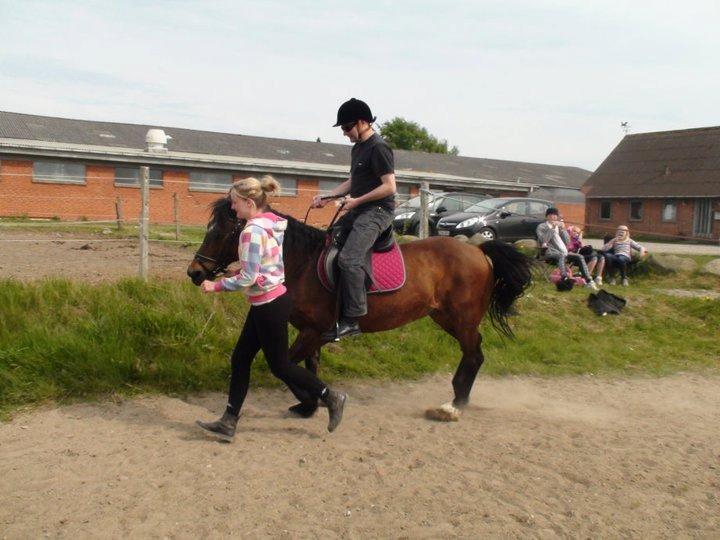 Anden særlig race Flicka  billede 13