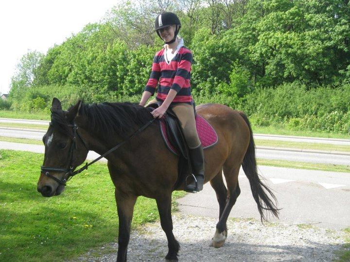 Anden særlig race Flicka  billede 14