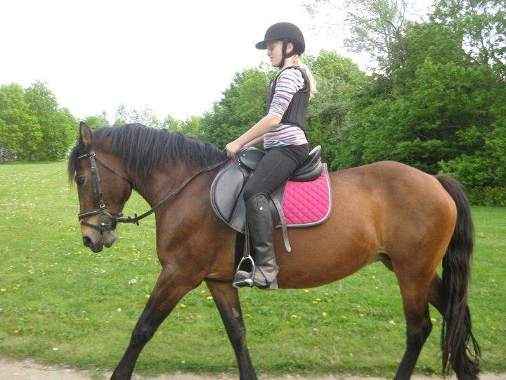 Anden særlig race Flicka  billede 15