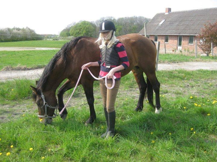 Anden særlig race Flicka  billede 16