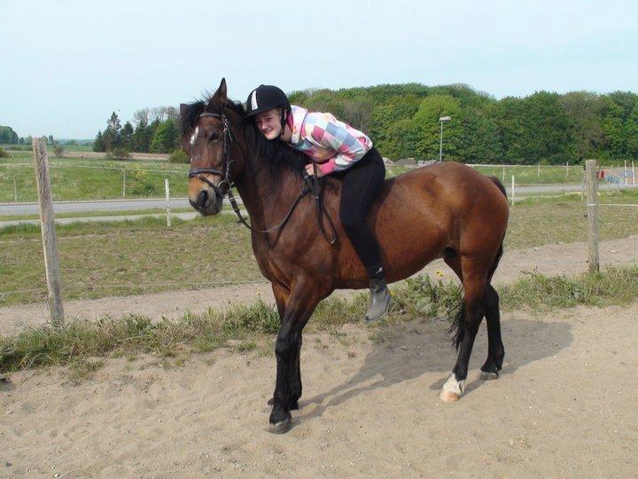 Anden særlig race Flicka  billede 1