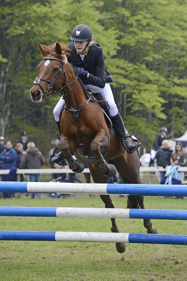 Anden særlig race Clements Penelope - Den fantastiske i fin stil til Morsø! Elsker hende! billede 2