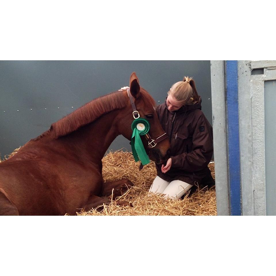 Anden særlig race Clements Penelope - 6 plads til Mors, stjerne pony!  billede 22