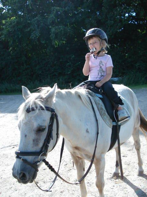 Anden særlig race Cirkeline (Sigge) - Freja og Sigge en varm sommerdag 2012 billede 2