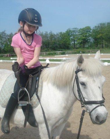 Anden særlig race Cirkeline (Sigge) - rater stigebøjler og sigge stå helt stille  billede 5