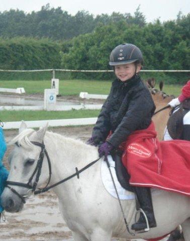 Anden særlig race Cirkeline (Sigge) - Til stævne i regnvejr billede 6