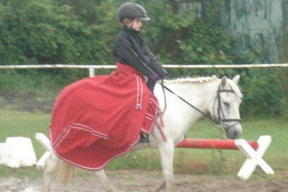 Anden særlig race Cirkeline (Sigge) - til stævne og opvarmer billede 7