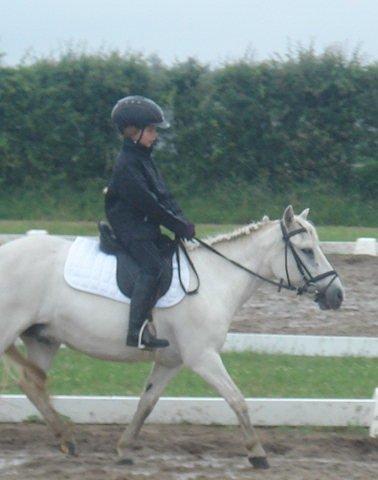 Anden særlig race Cirkeline (Sigge) - til stævne i toftlund billede 8