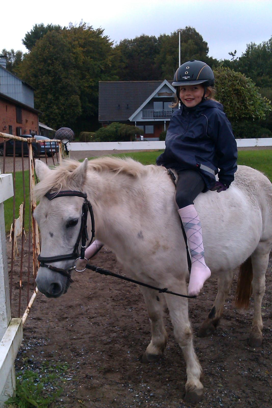 Anden særlig race Cirkeline (Sigge) - styger med tærne billede 12