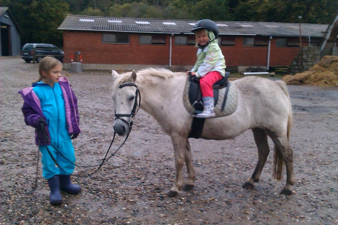 Anden særlig race Cirkeline (Sigge) - lille hurtigt bilede af os  billede 14