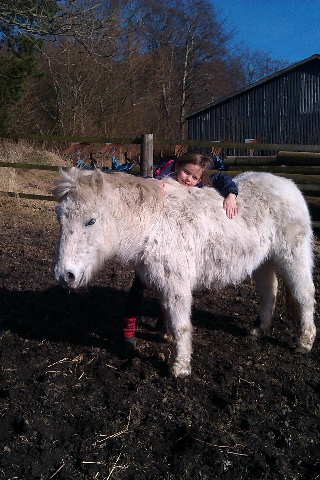 Anden særlig race Cirkeline (Sigge) - Min helt egen Sigge :-) billede 19