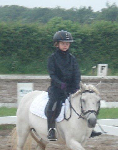 Anden særlig race Cirkeline (Sigge) - til stævne i toftlund billede 9