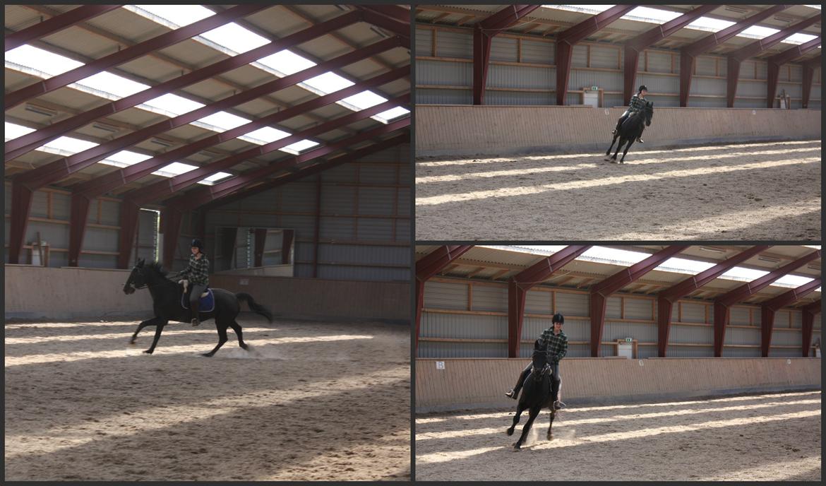 Traver Top gun (Himmelhest. Hvil i fred min engel) billede 13