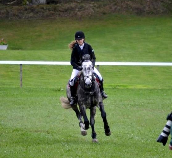 Dansk Varmblod Calikka Sortebjerg - sødeste baby på mors <3 billede 6