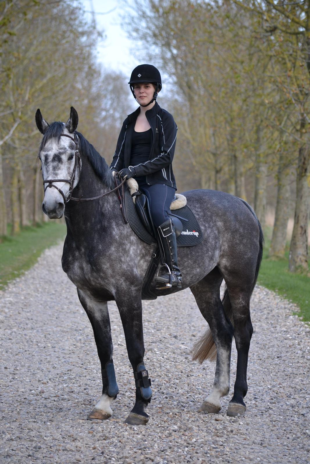 Dansk Varmblod Calikka Sortebjerg - “Last night I matched each star with a reason for loving you. I was doing great until I ran out of stars." billede 11