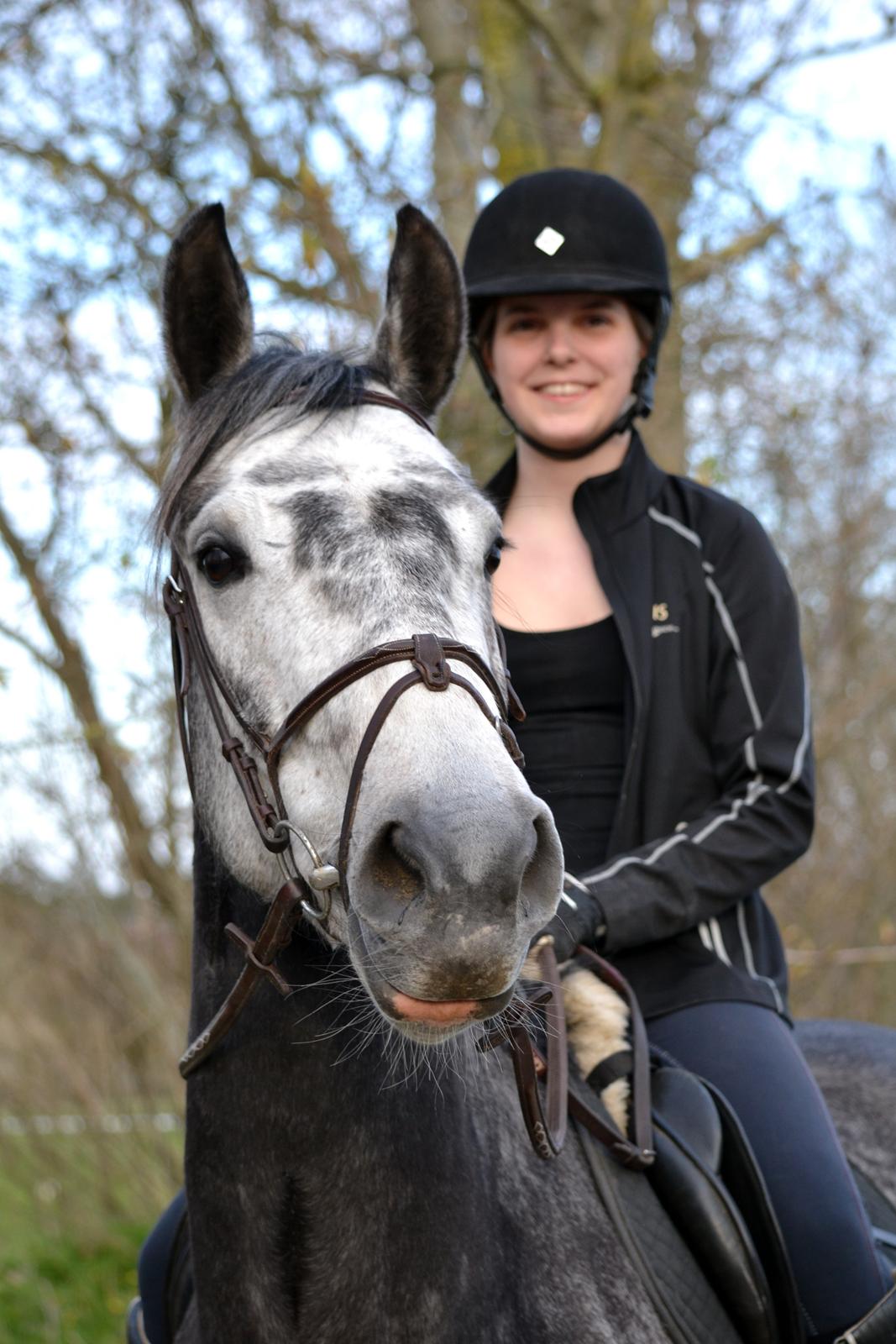 Dansk Varmblod Calikka Sortebjerg - “Hoste og kærlighed er det eneste man ikke kan skjule.” Grå <3<3 billede 1