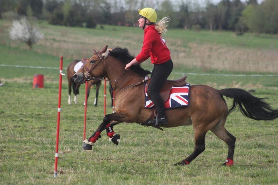 Hollandsk Sportspony Jasmijn - Jasmijn og jeg til DM indivuduelle. billede 7