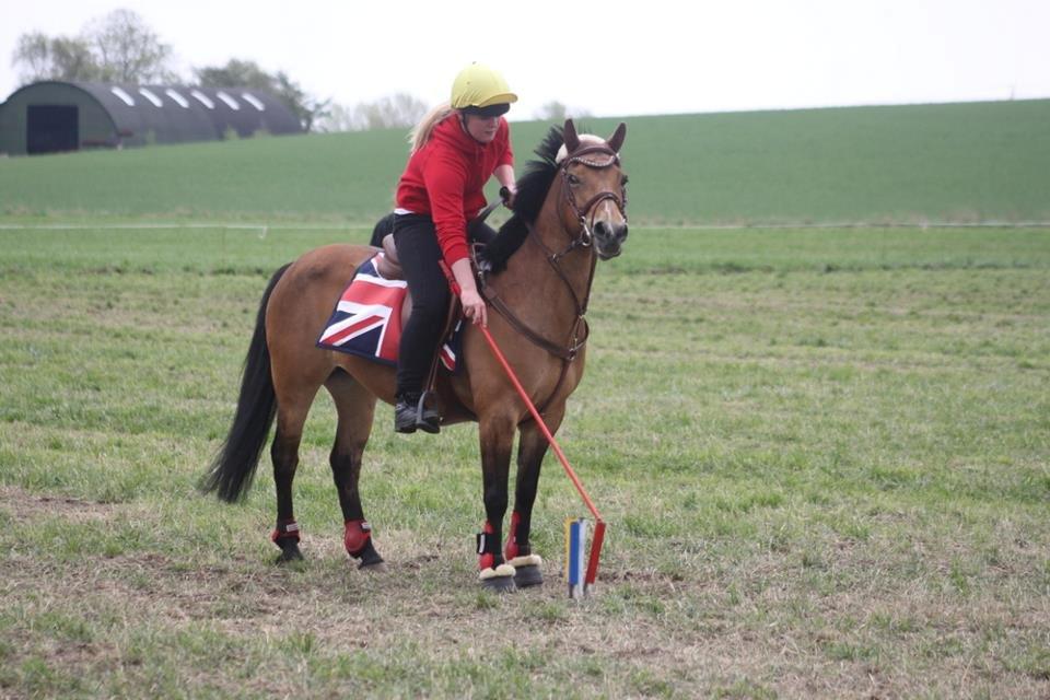 Hollandsk Sportspony Jasmijn - Jasmijn og jeg til DM indivuduelle. billede 18