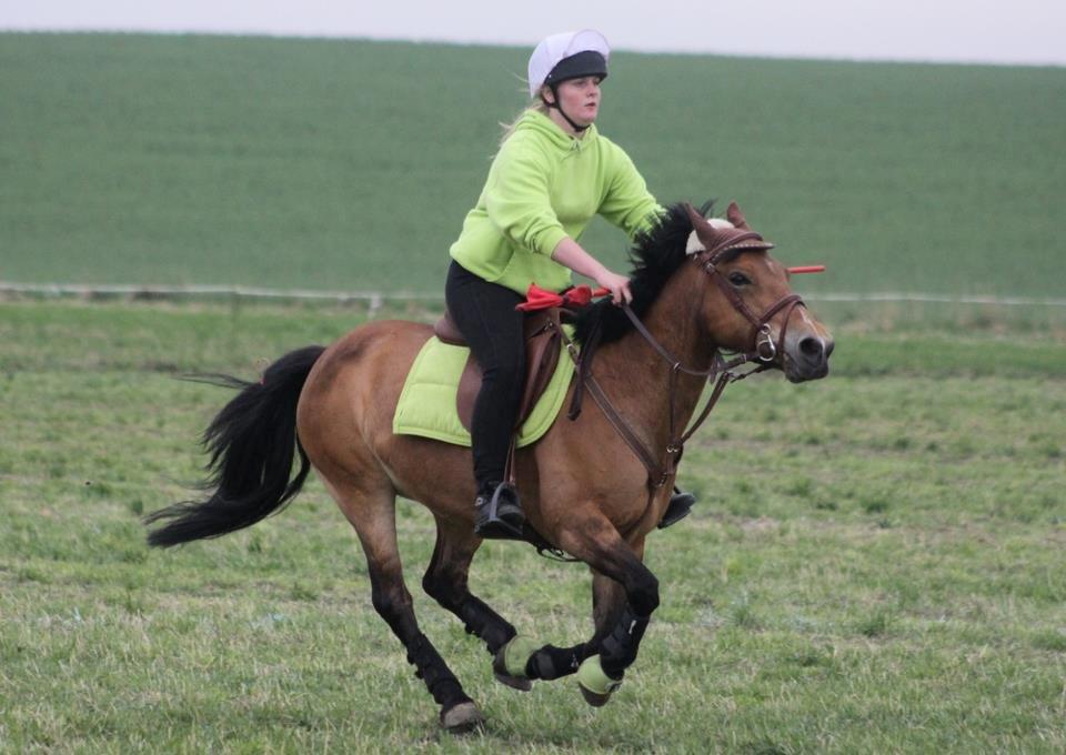 Hollandsk Sportspony Jasmijn - Jasmijn og jeg til DM indivuduelle. billede 13