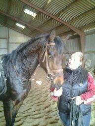 Dansk Varmblod Landlyst Corleone - under tilridningen  billede 2