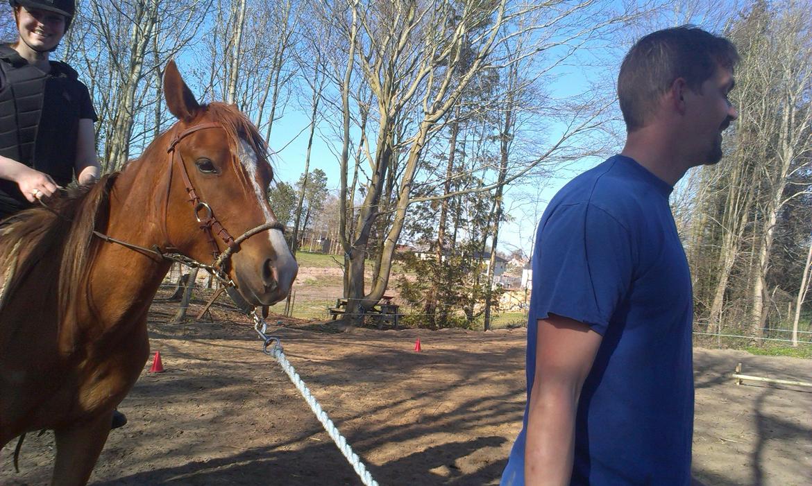 Anden særlig race Pepsi - Han tager tilridning cool billede 4