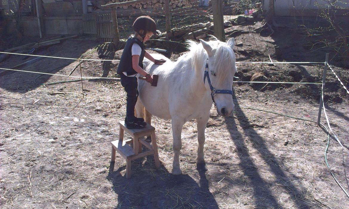 Anden særlig race Herkules - Forår 2013
Herkules og Annika er nået langt i deres forhold, se hvordan han står uden tog på :) billede 15