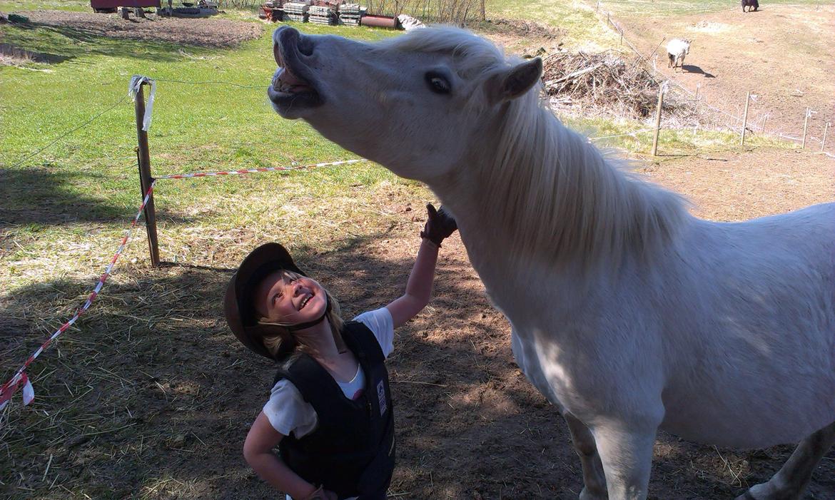 Anden særlig race Herkules - Sidste nye billede, maj 2013, Annika knap 5 år.
Fantastisk forhold de to har :) billede 1