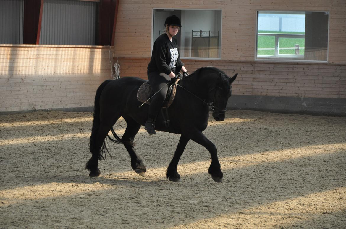 Frieser Tessa - Forår 12, Foto: Stine S.  billede 19